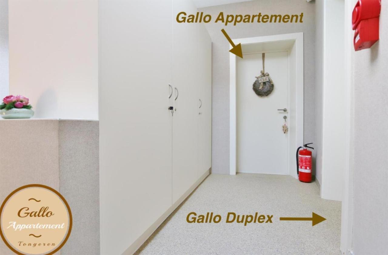 Gallo Appartement&duplex Centrum Tongres